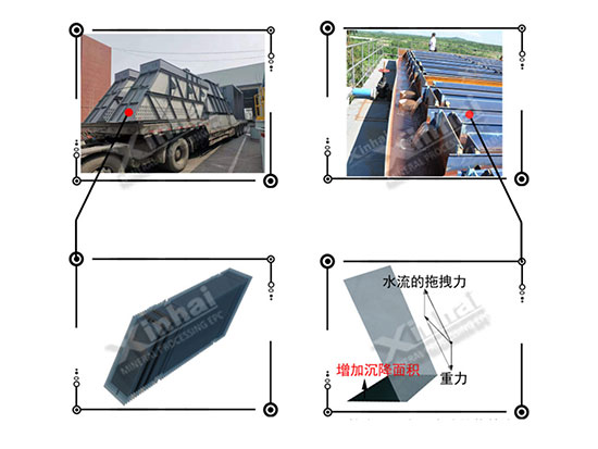 xhnongusoji13.jpg xhnongusoji13.jpg